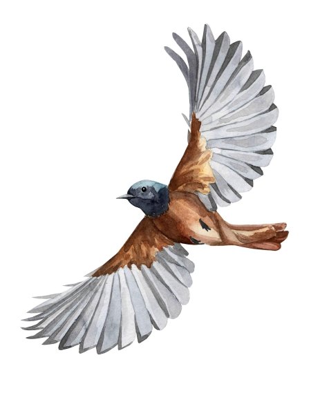 Летающая птичка