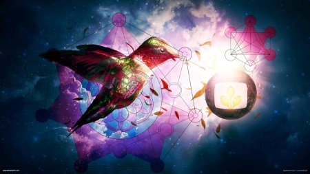 Птичка колибри