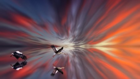 Птичка в полете