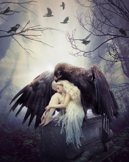 Вольная птица