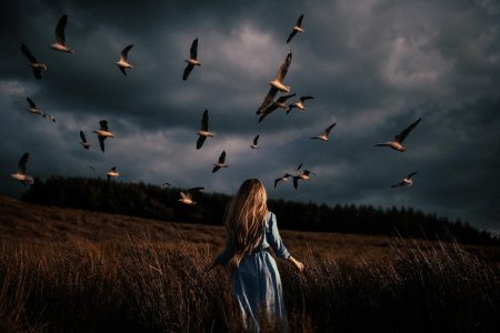 Девушка птица