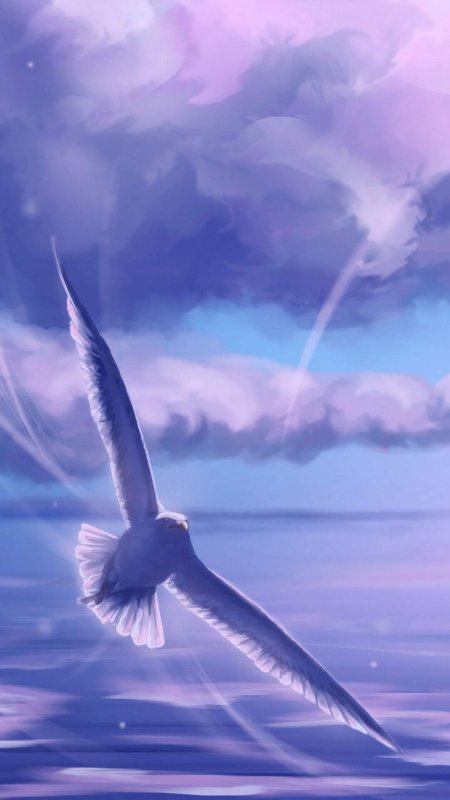 Птица в небе