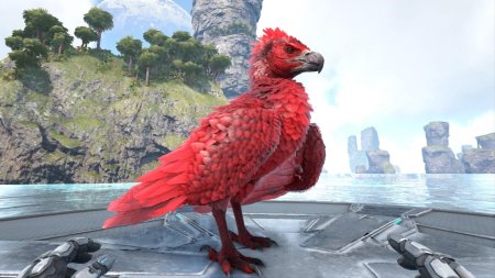 Ужасная птица арк