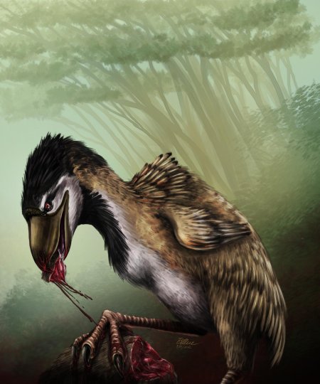 Титанис уоллера птица