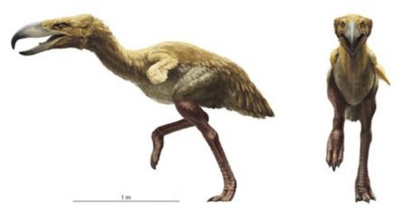 Титанис гасторнис