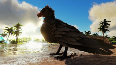 Арк сурвайвал аргентавис