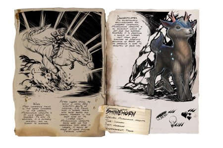 Арк книга существ