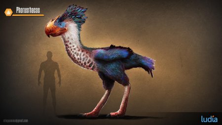 Титанис уоллера птица