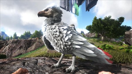 Аргентавис арк