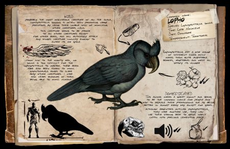 Ужасная птица арк досье