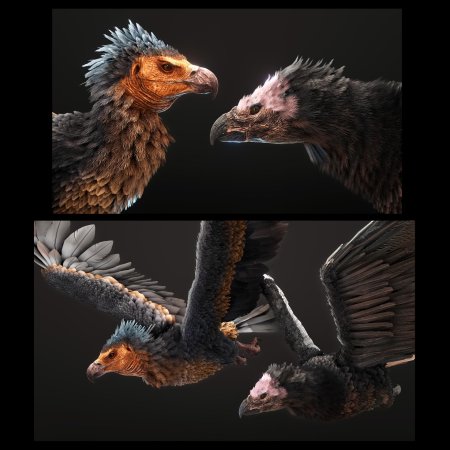 Аргентавис птица