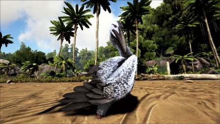 Додо арк сурвайвал