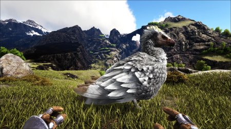 Аргентавис арк