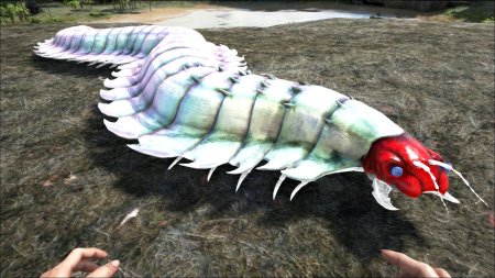 Ark артроплевра