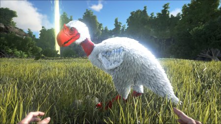 Додо арк сурвайвал