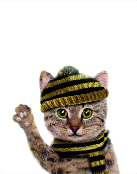 Смешной кот в шарфике