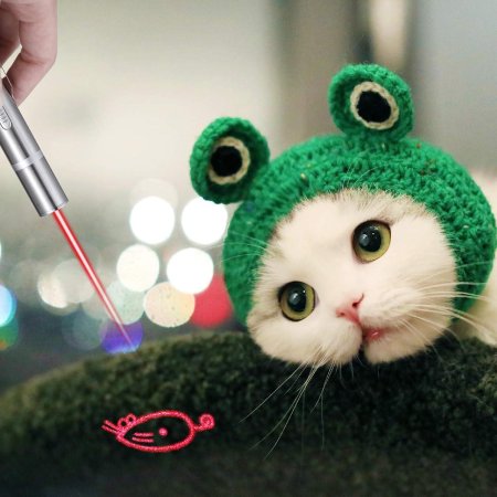 Котик в костюме лягушки