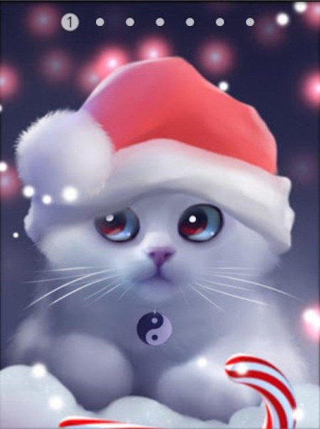 Новогодний котик