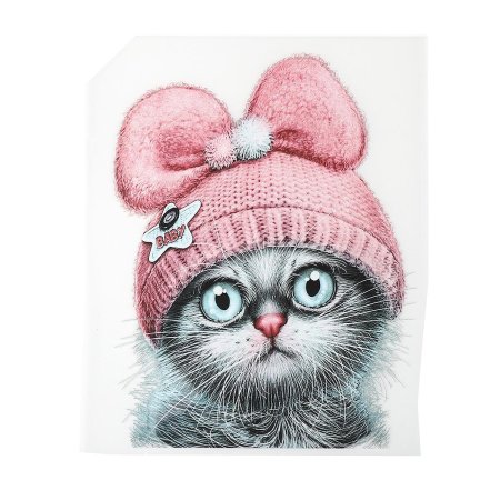 Котик в шапке