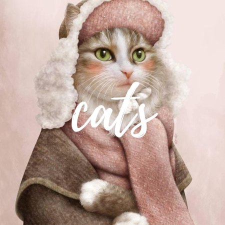 Кот в зимней одежде