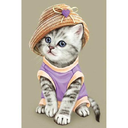 Котик в шляпке