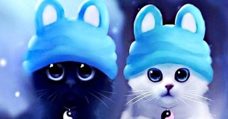 Котики милые