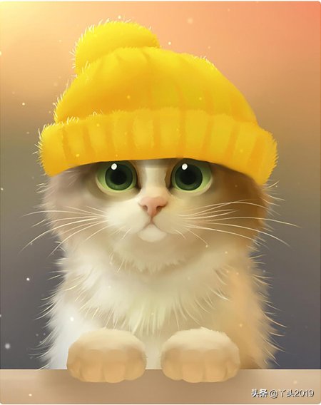 Милые котики в шапках