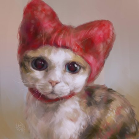 Котик в шапочке