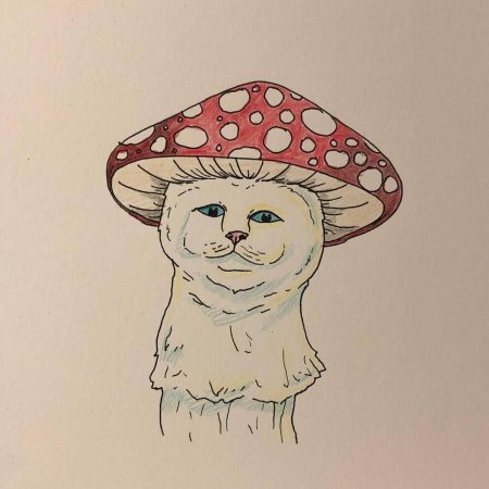 Рисунки гриб