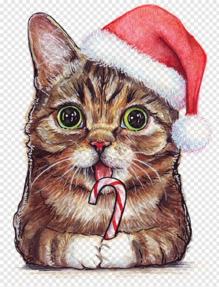 Новогодний кот арт