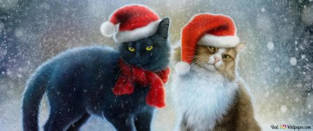 Котики новогодние