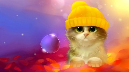 Котики милые