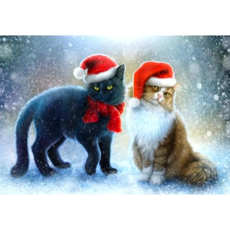 Новогодние кот