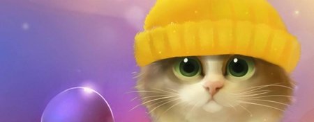 Котик в шапочке