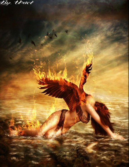 Феникс восставший из пепла
