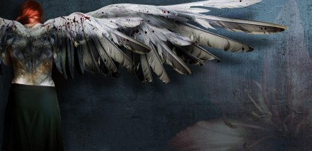 Рваные крылья