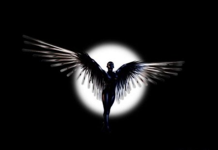 Тень ангела