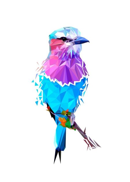 Птица геометрия