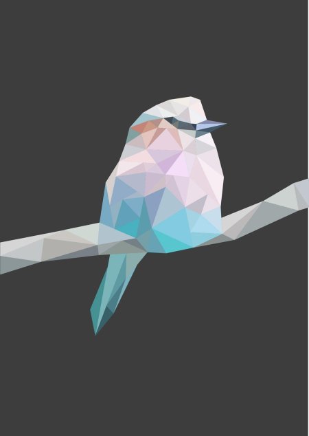 Геометрические птицы