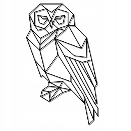 Сова геометрия