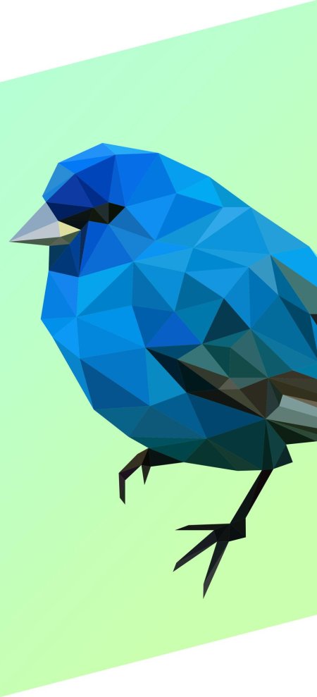 Геометрические птицы