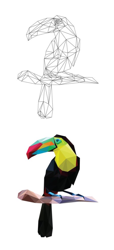 Тукан полигональный