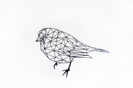 Геометрические птицы
