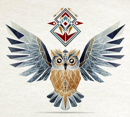 Сова геометрия