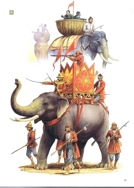 Боевые слоны древней индии