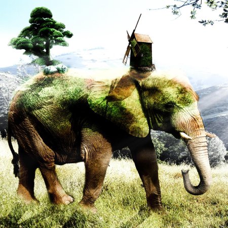 Слоны заставка на рабочий стол