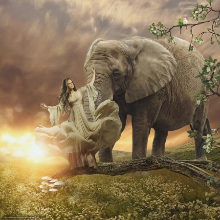 Картина со слоном