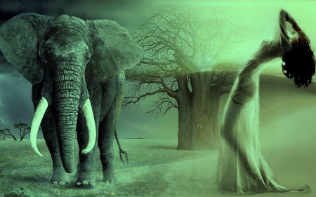 Слоны на рабочий стол