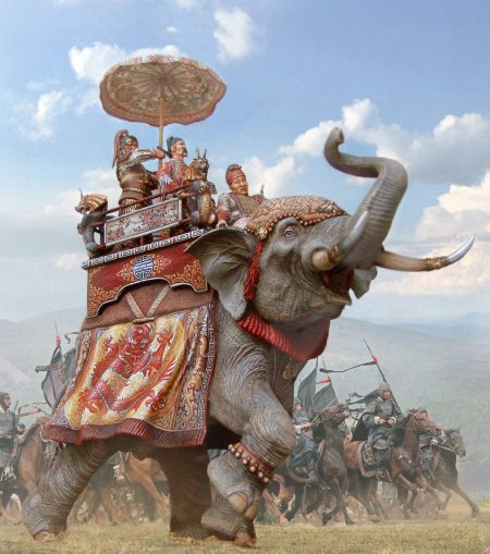 Боевые слоны индии