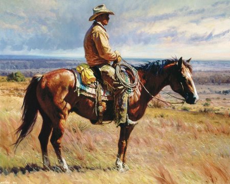 Художник-ковбой martin grelle